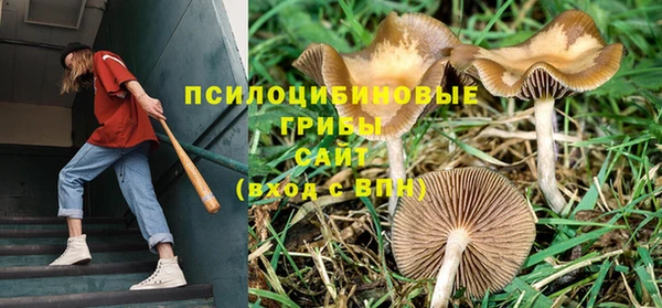 прущая мука Покровск