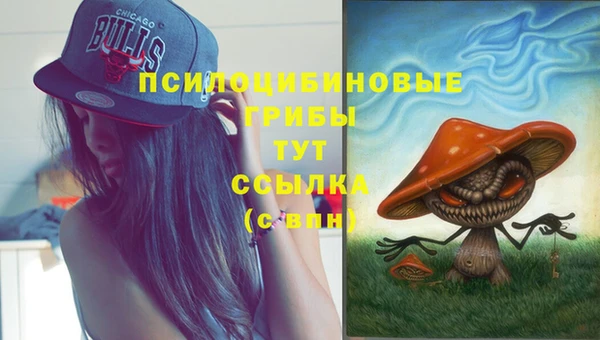 ALPHA PVP Абинск